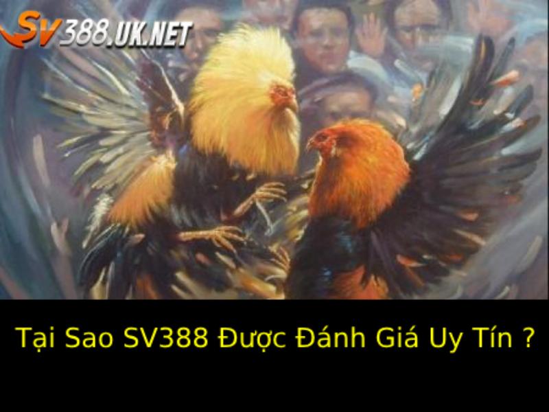 Tại Sao SV388 Được Đánh Giá Uy Tín ?