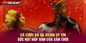 Cá Cược Đá Gà SV388 Uy Tín – Sức Hút Hấp Dẫn Của Sân Chơi