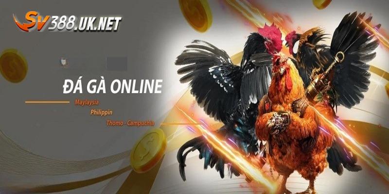 Đá Gà Online | Bật Mí 3 Chiến Thuật Chắc Thắng Từ Cao Thủ