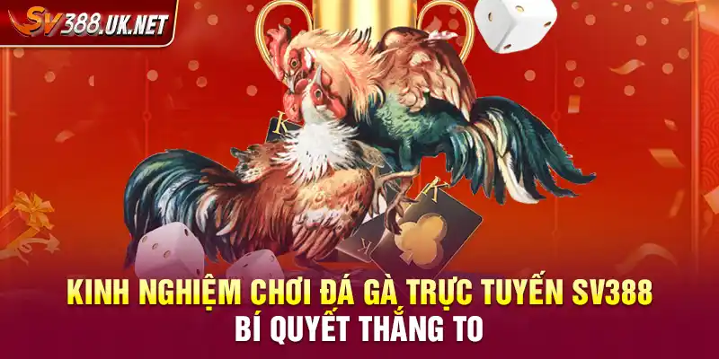 Kinh Nghiệm Chơi Đá Gà Trực Tuyến SV388 – Bí Quyết Thắng To