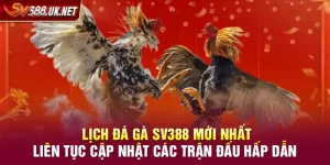 Lịch Đá Gà SV388 Mới Nhất – Liên Tục Cập Nhật Các Trận Đấu Hấp Dẫn