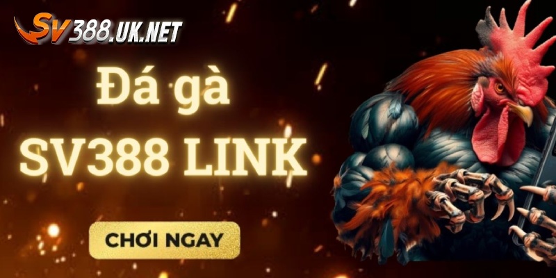 Lý do newbie không thể vào web