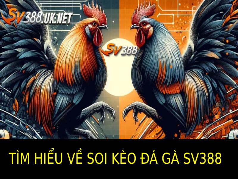 Tìm Hiểu Về Soi Kèo Đá Gà SV388